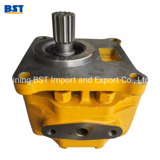 Excavatrice Bulldozer Caterpillar Shantui Cummins Weichai Isuzu Perkins Hydraulique/Eau/Injection de carburant/Huile/Engrenage/Travail/Direction/Transmission/Pompe à engrenages