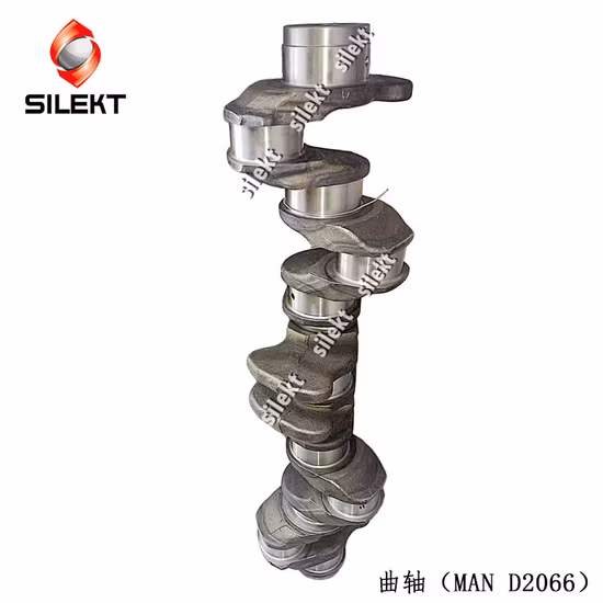 Les moteurs de camion de pièces de moteur de l'homme D2066 D2676 de vilebrequin Mc11 Mc13 Mc07 ont forgé l'acier