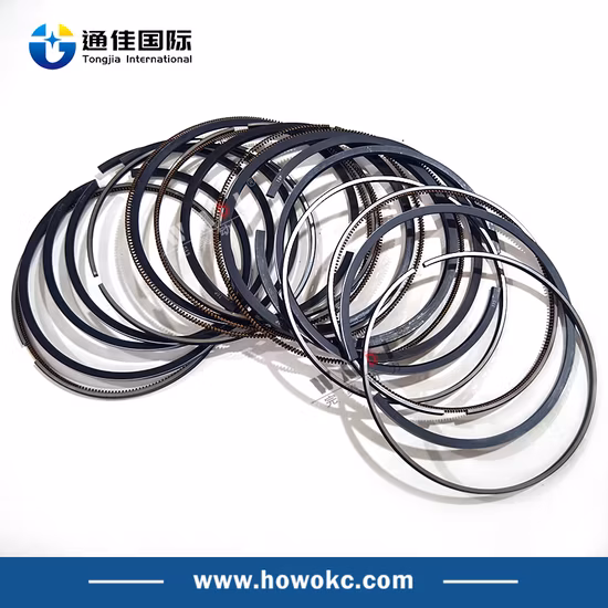 Segment de piston de pièces de camion de pièces de moteur de camion de Sinotruk HOWO Vg1560030040